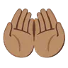 Palms Up Together: Medium Skin Tone Emoji 🤲🏽 image - Google Noto Color Animated style