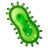 Microbe