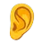 Ear