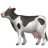 Cow