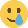 Emoji Față zâmbitoare cu lacrimă 🥲 image - Twitter / X (Twemoji) style