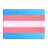 Transgender Flag