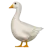 Goose