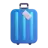 Luggage