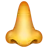 Nose