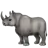 Rhinoceros