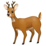 Emoji Cervo 🦌 image - WhatsApp style