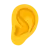 Ear
