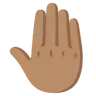 Raised Back Of Hand: Medium Skin Tone Emoji 🤚🏽 image - Google Noto Color style