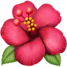 हिबिस्कुस Emoji 🌺 image - Apple style