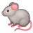 Rat