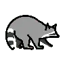 Emoji Procione 🦝 image - OpenMoji style