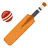 Cricket Game