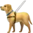 Guide Dog