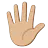 Hand With Fingers Splayed: Medium-Light Skin Tone