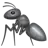 Ant