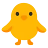 Poussin vu de face Emoji 🐥 image - Google Noto Color style
