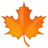 Maple Leaf