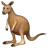 Kangaroo