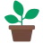 Potted Plant