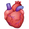 Anatomical Heart Emoji 🫀 image - WhatsApp style
