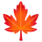 Maple Leaf
