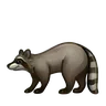Emoji Procione 🦝 image - Telegram style