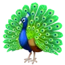 Emoji Pavone 🦚 image - WhatsApp style