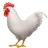 Rooster