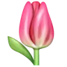 Tulip Emoji 🌷 image - WhatsApp style