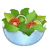 Green Salad