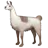 Llama