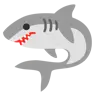 ปลาฉลาม Emoji 🦈 image - Google Noto Color style