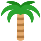Palm Tree