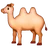 Two-Hump Camel