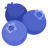 Blueberries