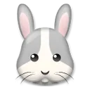 Rabbit Face