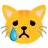 Crying Cat