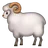 Ram