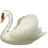Swan
