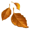 Emoji Frunza căzută 🍂 image - Apple style