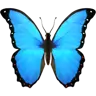 Butterfly Emoji 🦋 image - Apple style