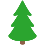 Evergreen Tree