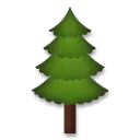 Evergreen Tree