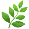 Emoji Erba 🌿 image - Apple style