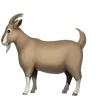 Emoji Capra 🐐 image - Apple style