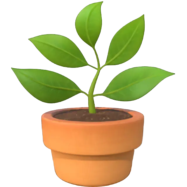 ไม้กระถาง