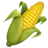 Ear Of Corn