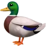 เป็ด Emoji 🦆 image - Apple style