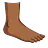 Foot: Medium-Dark Skin Tone